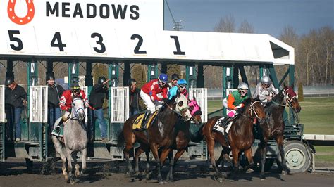 Meadows horse racing results. Things To Know About Meadows horse racing results. 